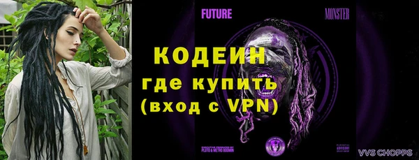 гашик Пересвет