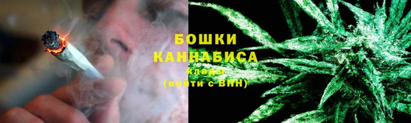 гашик Пересвет