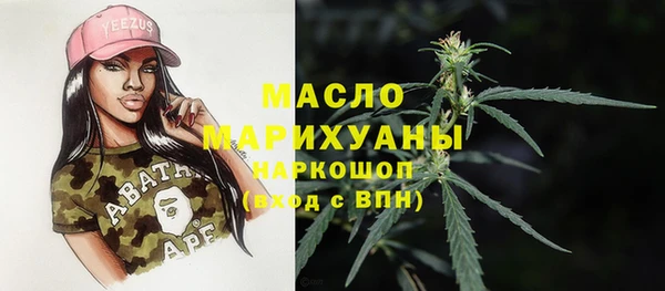 гашик Пересвет