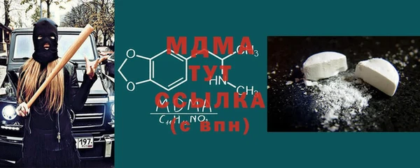 гашик Пересвет