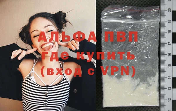 гашик Пересвет