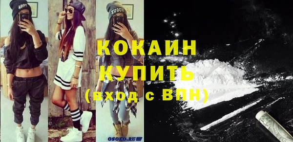 мдпв Пестово