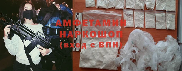 мдпв Пестово
