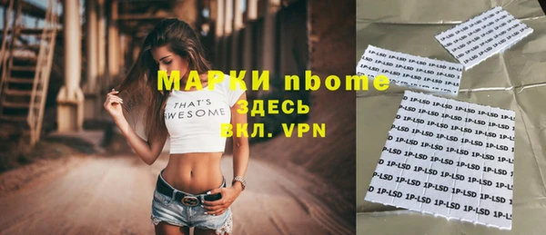 мдпв Пестово