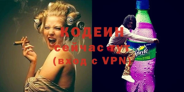 гашик Пересвет