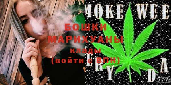 мдпв Пестово