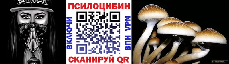 закладка  Балахна  Псилоцибиновые грибы MAGIC MUSHROOMS 