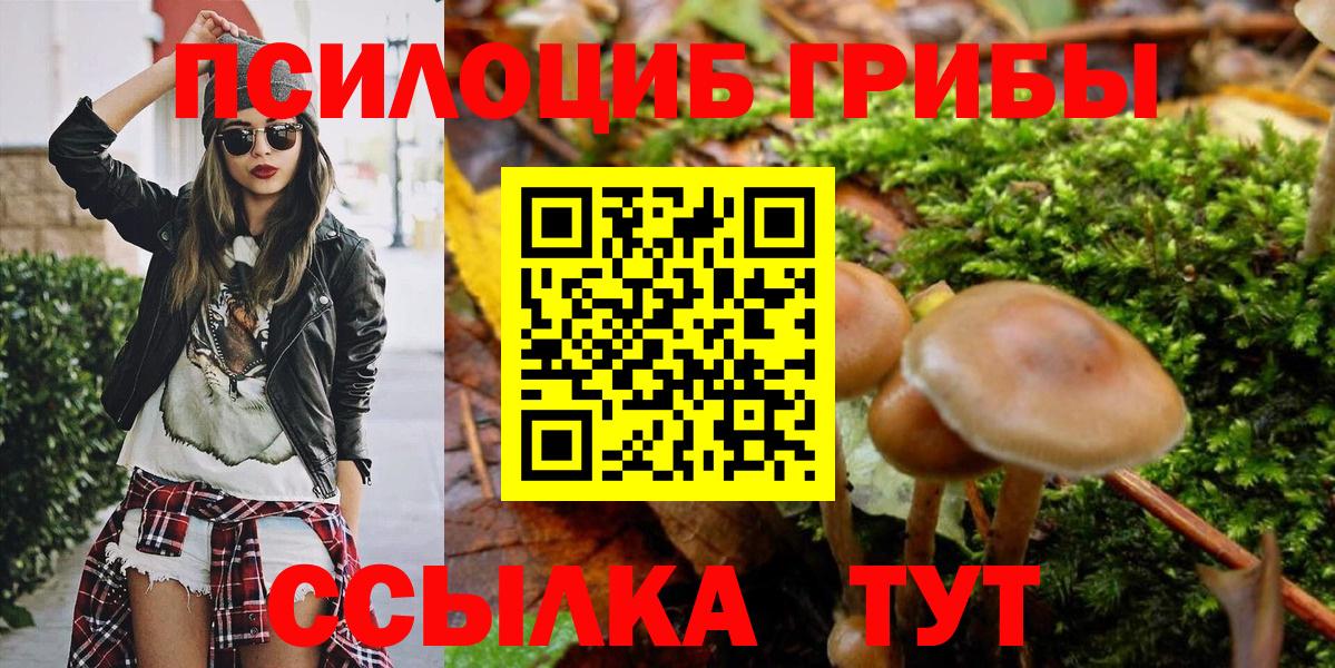 Галлюциногенные грибы Psilocybe Балахна