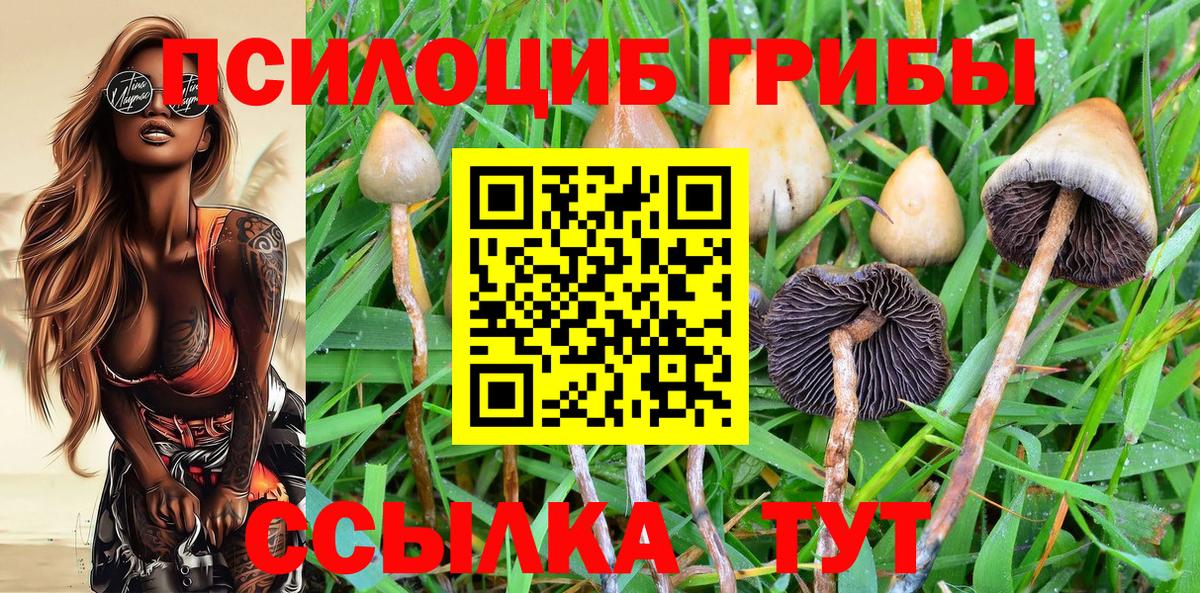 Конопля  Cocaine  ГАШ  Балахна  Меф МЯУ МЯУ кристаллы  ГАШИШ  Вход с VPN 