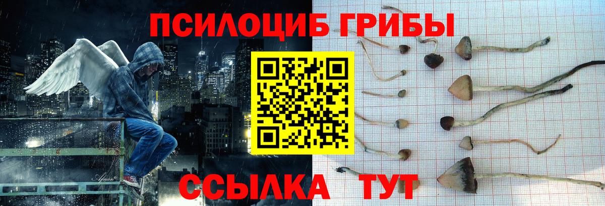 Галлюциногенные грибы мухоморы Балахна