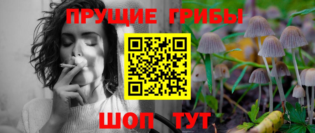 Галлюциногенные грибы Cubensis  Вход с VPN  Галлюциногенные грибы GOLDEN TEACHER  Балахна 